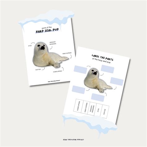 Parts of a Harp Seal Printable — Hear Them Roar Podcast