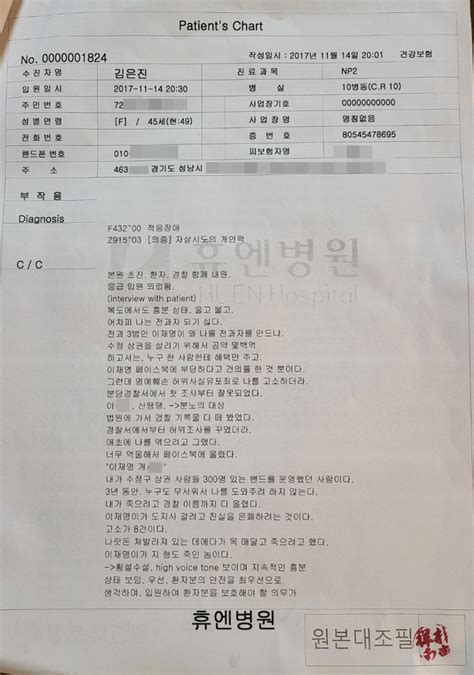 단독 이재명 성남시장 시절 ‘정신병원 강제입원 주장하는 김사랑‘진료기록 허위 작성 추가 의혹 제기