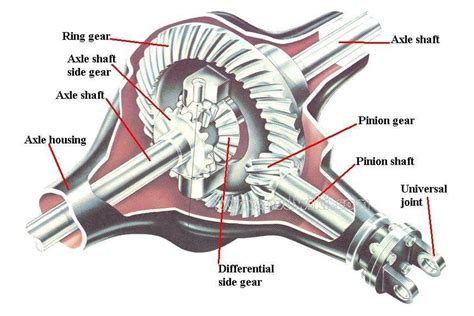 What Is Differential And Different Types Of Differential Thereviewstories