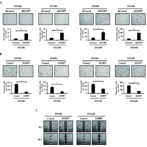 IGFBP7 Inhibits Gastric Cancer Cell Invasion And Migration A The