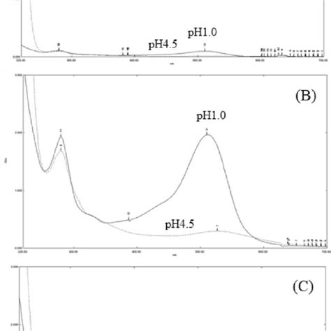 Spectral Characteristics In Mulberry Extract And Purified Mulberry