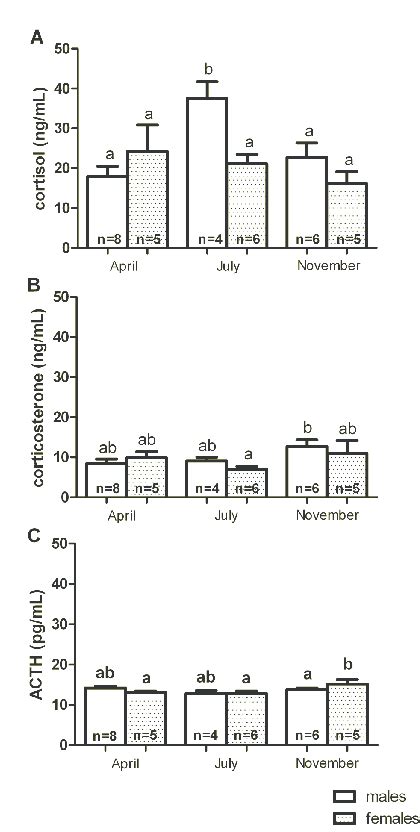 Plasma Cortisol A Corticosterone B And Acth C Concentrations In