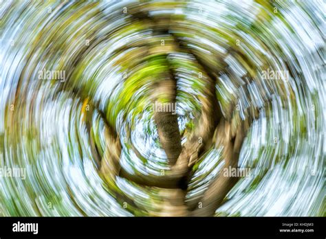 Dizzy