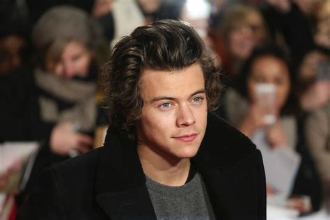 Harry Styles Wallpapers For Laptop Wallpics Net