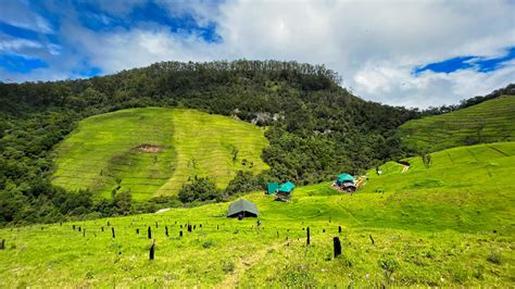 Bringing Back The Green Eco Restoration Of Shola Grasslands In Kerala United Nations