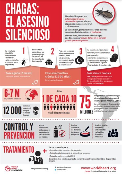 Infografía Chagas World Heart Federation