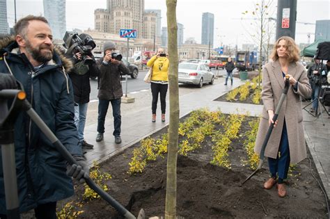 Pierwsze Drzewa Pojawi Y Si Na Rondzie Dmowskiego W Warszawie