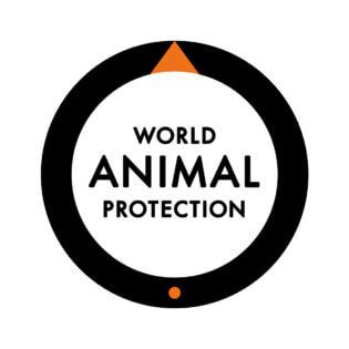 World Animal Protection Review | Animal Charity Evaluators