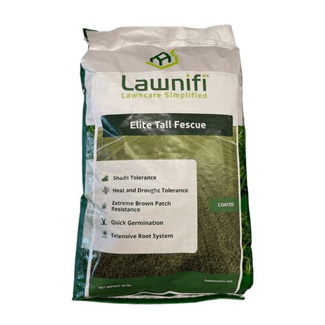 Best Tall Fescue Grass Seed For Your Home Lawn Sod Solutions