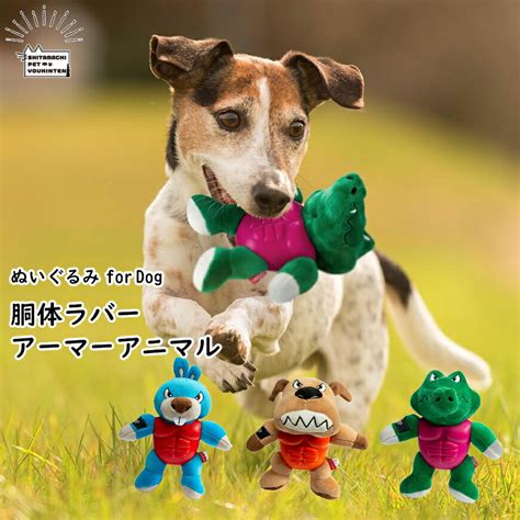 【楽天市場】犬 おもちゃ ぬいぐるみ カミカミ ラバー アーマー アニマル ワニ うさぎ オモチャ イヌ 噛む 力 強い 犬のおもちゃ 犬の