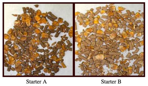 Calf Starter Big Impact On Calf Growth Calf Sessions