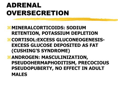 Ppt The Adrenal Gland Powerpoint Presentation Free Download Id1212986