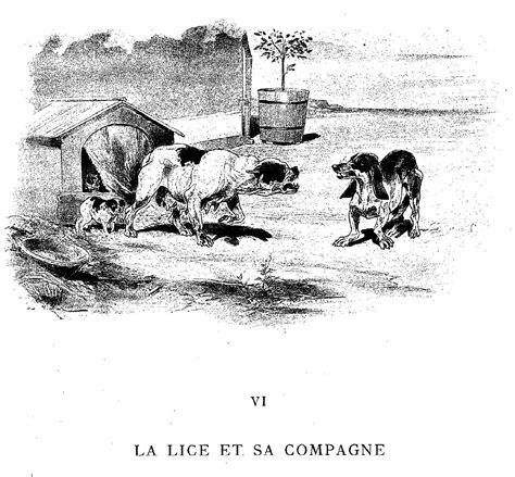 Illustration Dessin Vimar Fable De La Fontaine La Lice Et Sa Compagne