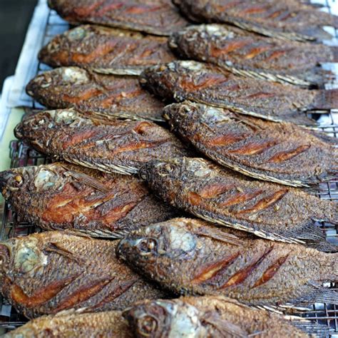 Pescados Fritos Del Nilotica De La Tilapia O De Los Oreochromis Del