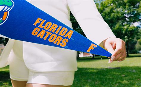 florida gators      florida gators stock