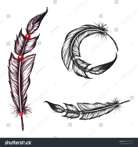 Native American Feathers Set Stock Vector Illustration 170231978 Shutterstock