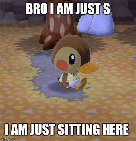 Bro I Am Just S I Am Just Sitting Here Racpocketcamp