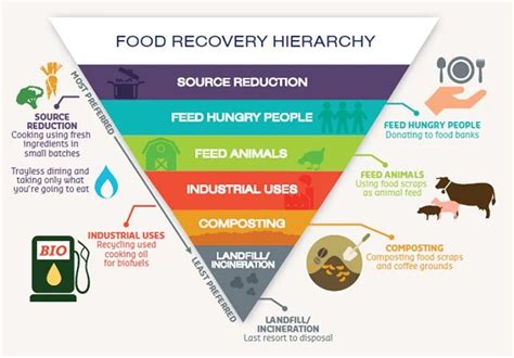 Waste Management in the Food Processing Industry