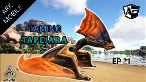 TAME TAPEJARA HOW TO TAME TAPEJARA IN ARK MOBILE YouTube