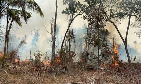 Roraima registra pior queimada dos últimos 25 anos e moradores vivem em