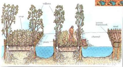 Chinampas Document B - REMEMBERING THE AZTZECS