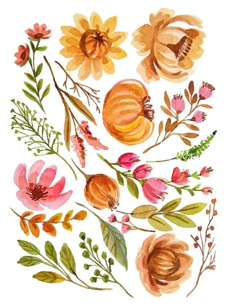 Premium Vector Watercolor Flower Elements