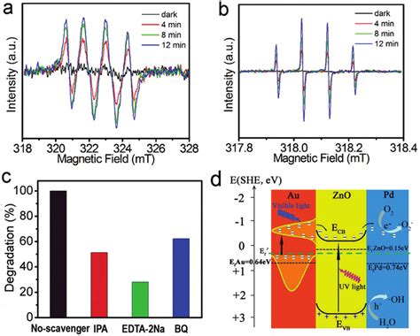 Esr Spin Signals Of A Superoxide • O 2 − And B Hydroxyl • Oh