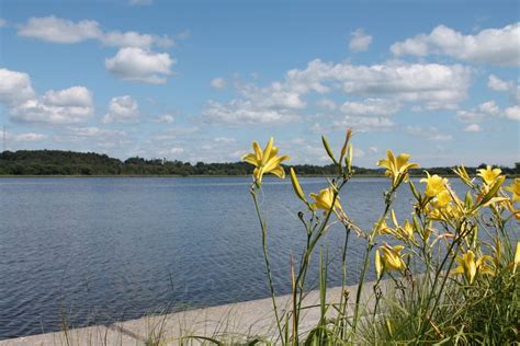 Port Perry Waterfront Scugog Lake Stewards