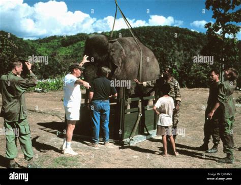 Operation dumbo operation dumbo drop hi-res stock photography and images - Alamy