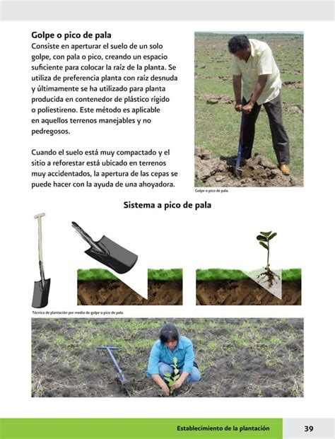 Manual Practicas De Reforestacion Pdf