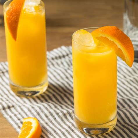 Screwdriver Cocktail Classic Recipe Insanely Good