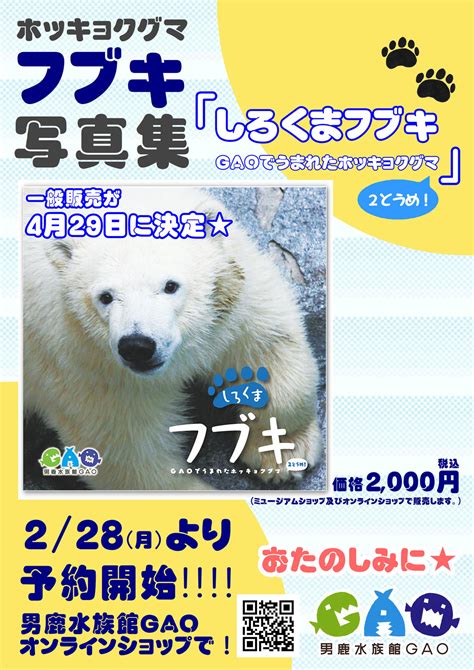 【男鹿市】男鹿水族館gaoのホッキョクグマ「フブキ」の写真集が発売決定！