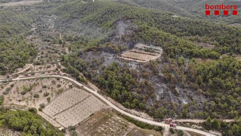 Detenido el presunto autor de los incendios de Móra d Ebre i Corbera d Ebre