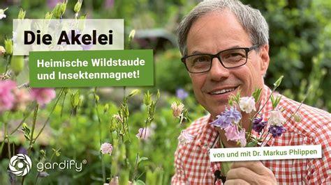 Akelei heimische Wildstaude für den Naturgarten und Nektarquelle