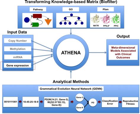 Schematic Overview Of Athena Athena Contains Transformation And