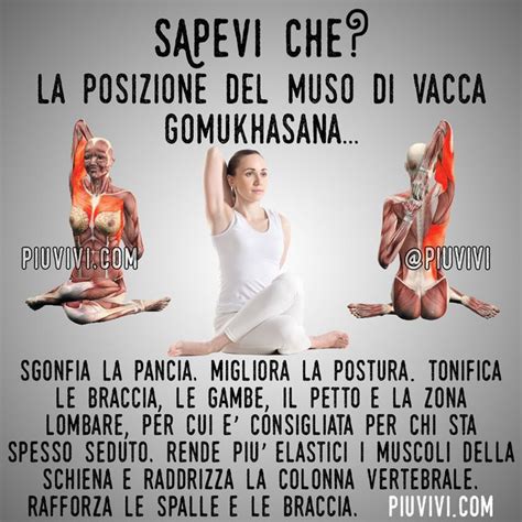 Gomukhasana Posizione Del Muso Di Vacca Kundalini Yoga Esercizi Di