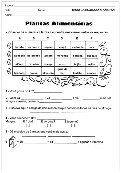 Atividades de Ciências 3º ano - Atividades Educativas - Escola Educação