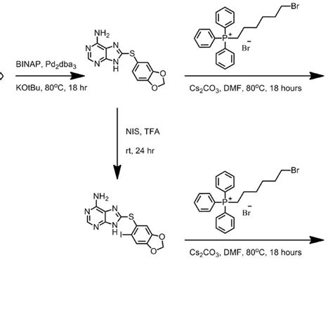 Chemical Synthesis Of Mitochondrial Targeted Small Molecule Hsp90