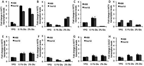 The Qrt Pcr Method Was Used To Measure The Expression Of Seven Hexose