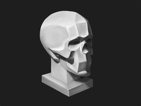 Scull by Irina on Dribbble