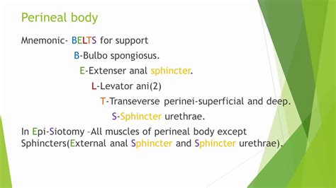 Perineal Body Medical Mnemonic For Neet Pg And Ug By Dr Prakash Nayak Youtube