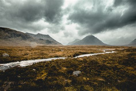 Bleak Landscape