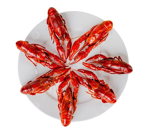 Gourmet Fresh Spicy Crayfish Food Fresh Spicy Crayfish PNG