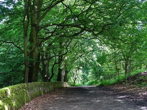 Woodland Walk East Of Lenny Hill © Neil Theasby Cc By Sa20