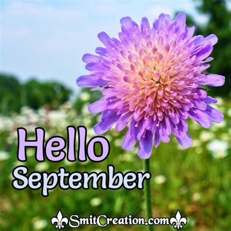 Happy 1st Day Of September