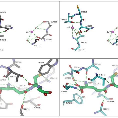 Schematic Representation Of The Hypothesis Driven Iterative Approach Download Scientific