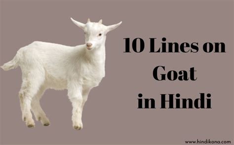 10 Lines On Goat In Hindi । बकरी पर 10 लाइन हिंदी कोना