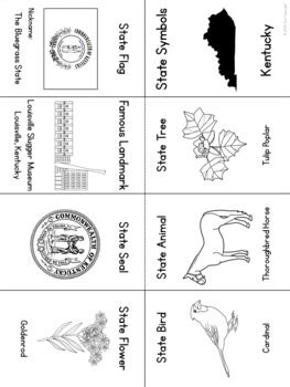 Kentucky State Symbols Booklet by Ann Fausnight | TPT