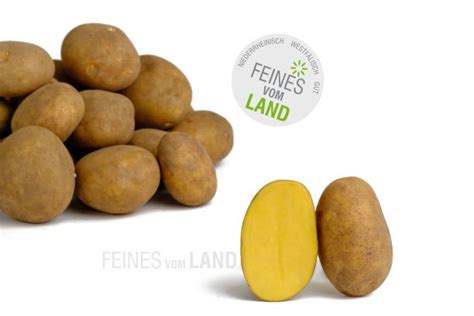 Speisekartoffeln Secura 2 5kg Feines Vom Land Online Shop