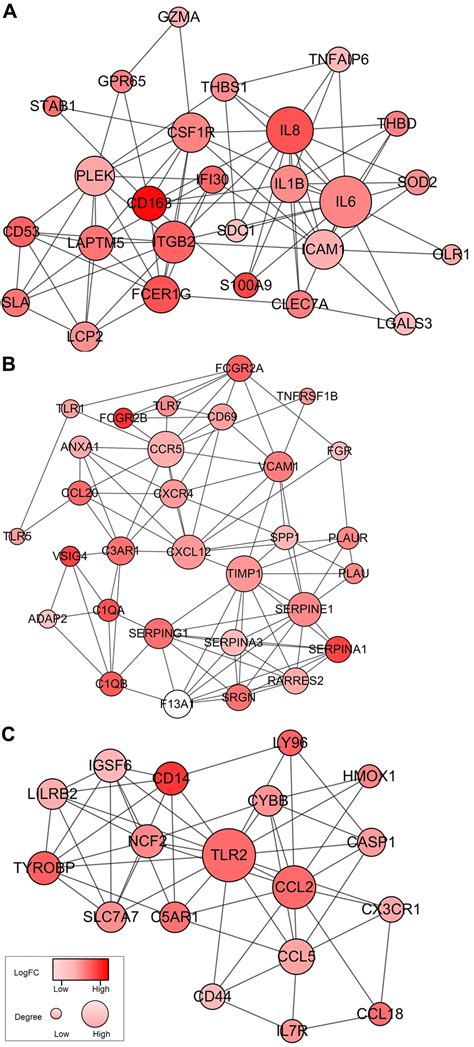 Mining Tcga Database For Genes Of Prognostic Value In Glioblastoma